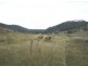 Booubyjan QLD 4601
