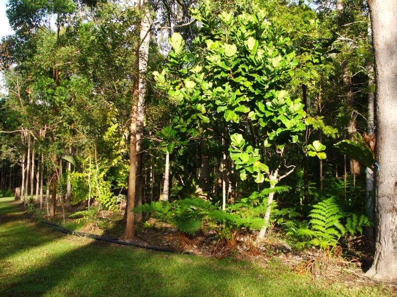 Wolvi QLD 4570