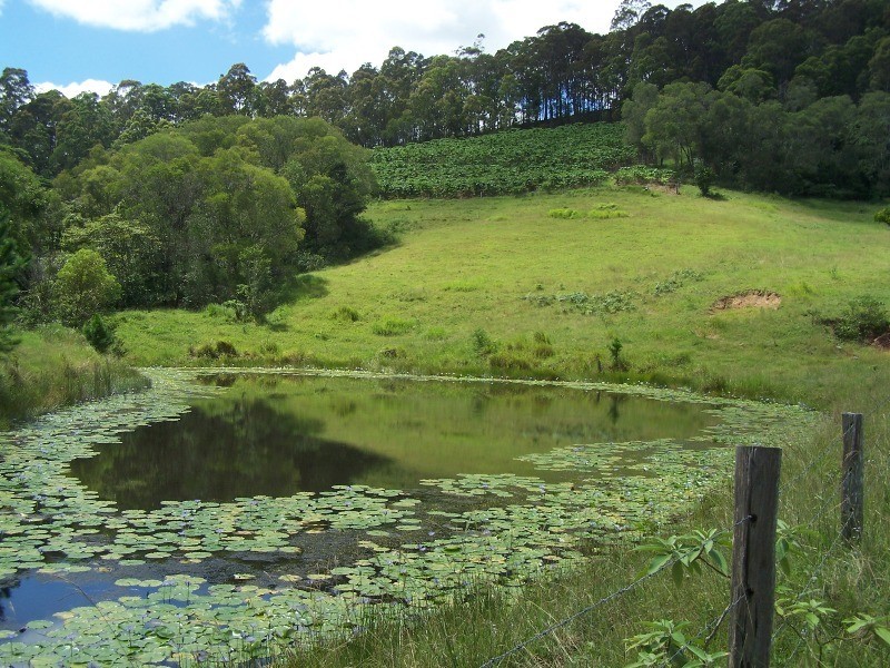 Wilsons Pocket QLD 4570