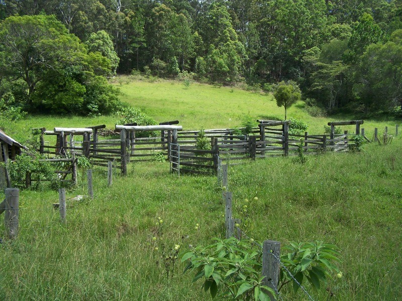 Wilsons Pocket QLD 4570
