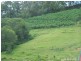 Wilsons Pocket QLD 4570