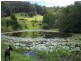 Wilsons Pocket QLD 4570