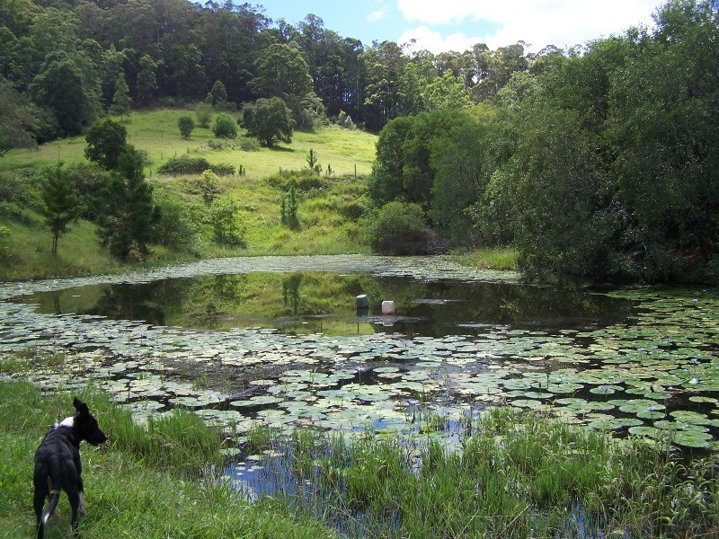Wilsons Pocket QLD 4570