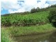 Wilsons Pocket QLD 4570