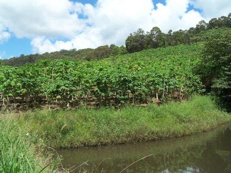 Wilsons Pocket QLD 4570