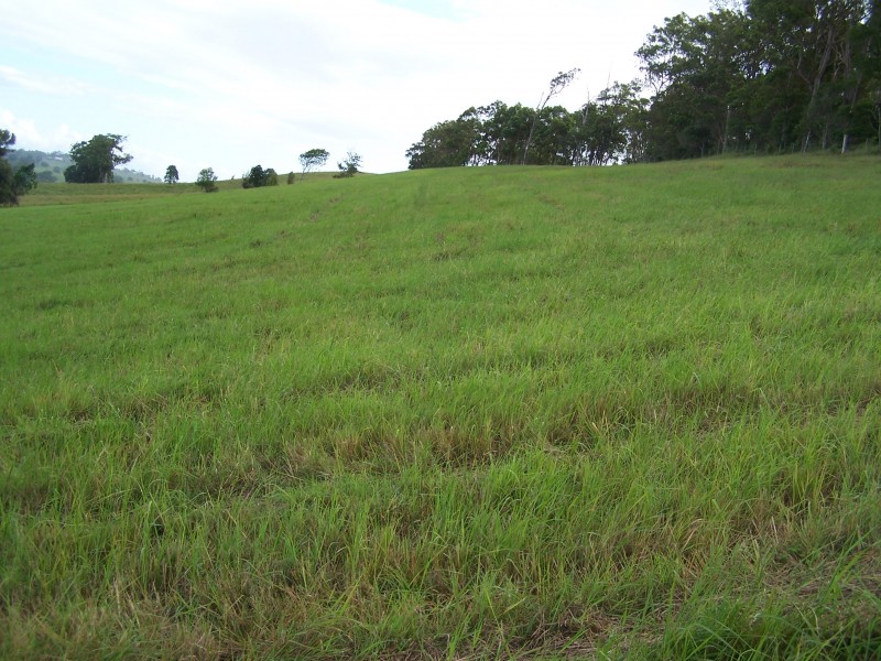 Greens Creek QLD 4570