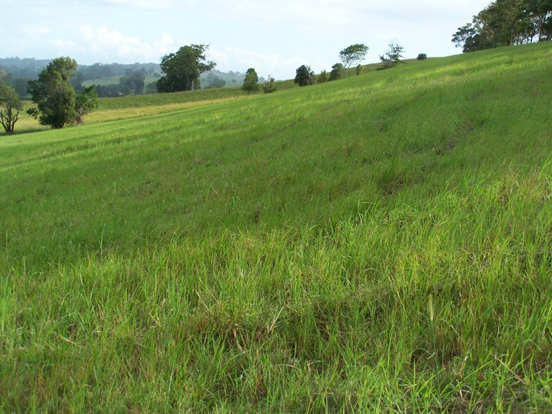 Greens Creek QLD 4570