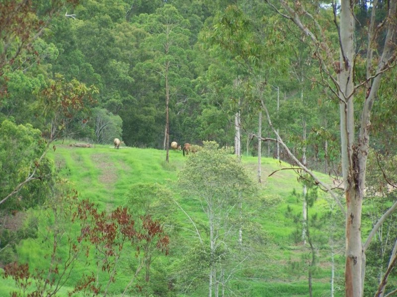 Veteran QLD 4570