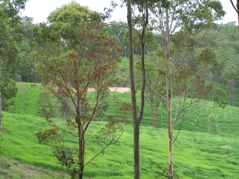Veteran QLD 4570