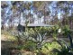 Araluen QLD 4570