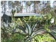 Araluen QLD 4570