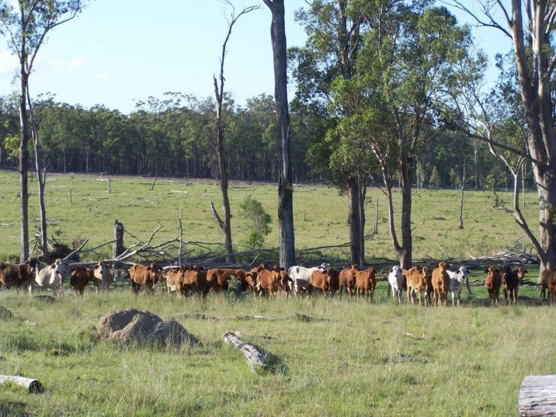Gundiah QLD 4650