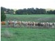 Dagun QLD 4570