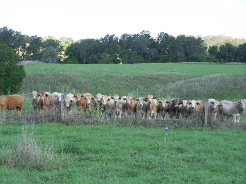 Dagun QLD 4570