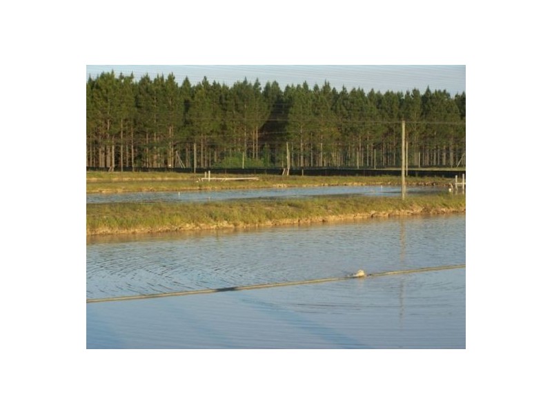 Wolvi QLD 4570