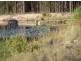 Wolvi QLD 4570