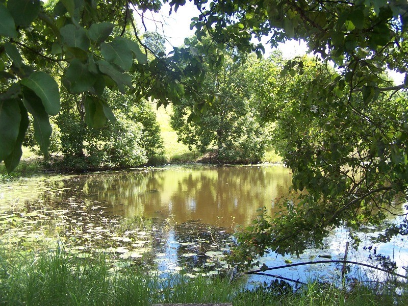 Chatsworth QLD 4570