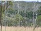 Booubyjan QLD 4601