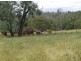 Booubyjan QLD 4601