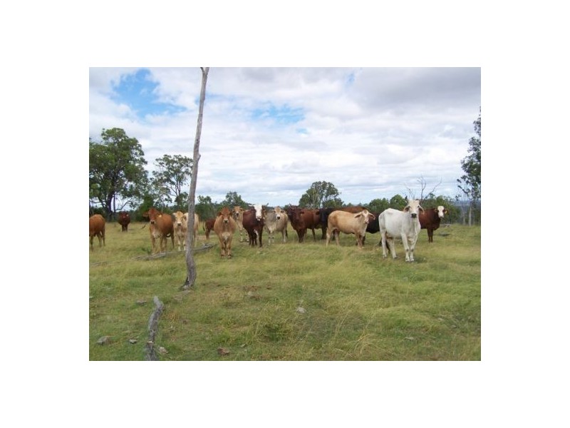 Booubyjan QLD 4601