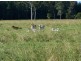 Coondoo QLD 4570
