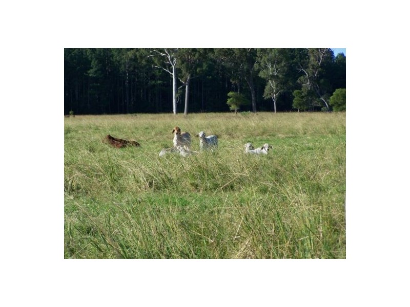 Coondoo QLD 4570