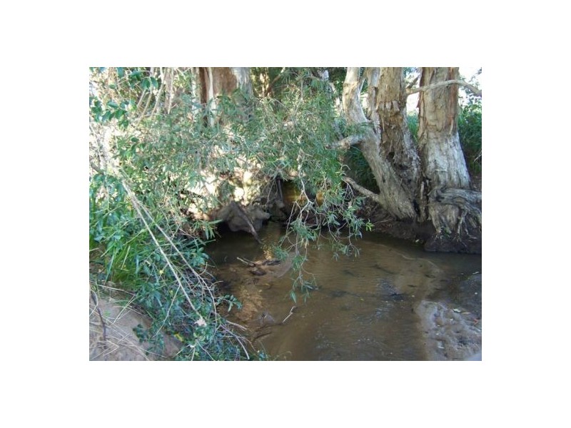 Coondoo QLD 4570