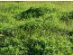 Coondoo QLD 4570