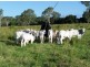Coondoo QLD 4570