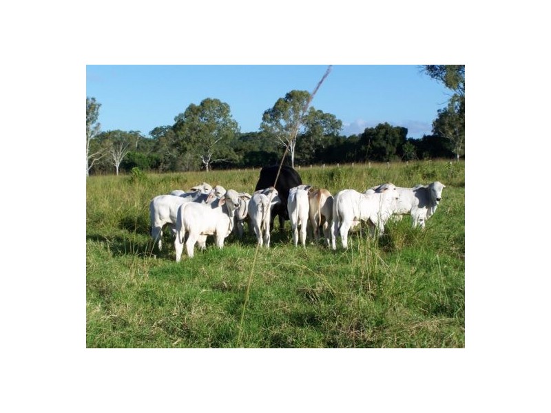 Coondoo QLD 4570