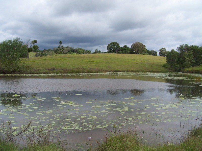 Mcintosh Creek QLD 4570