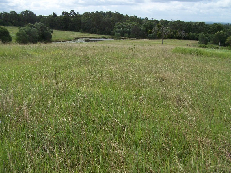 Mcintosh Creek QLD 4570