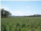 Cinnabar QLD 4600