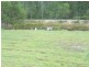 Curra QLD 4570