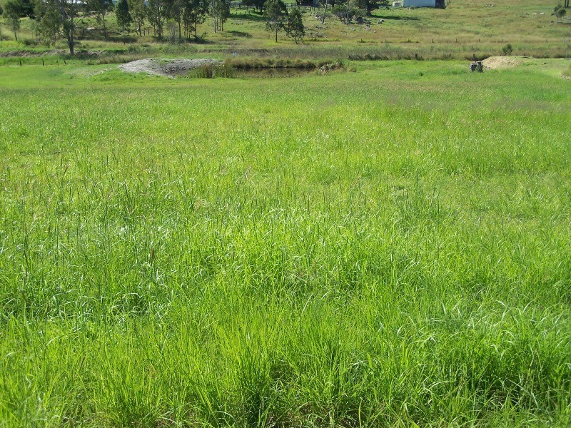 Woolooga QLD 4570