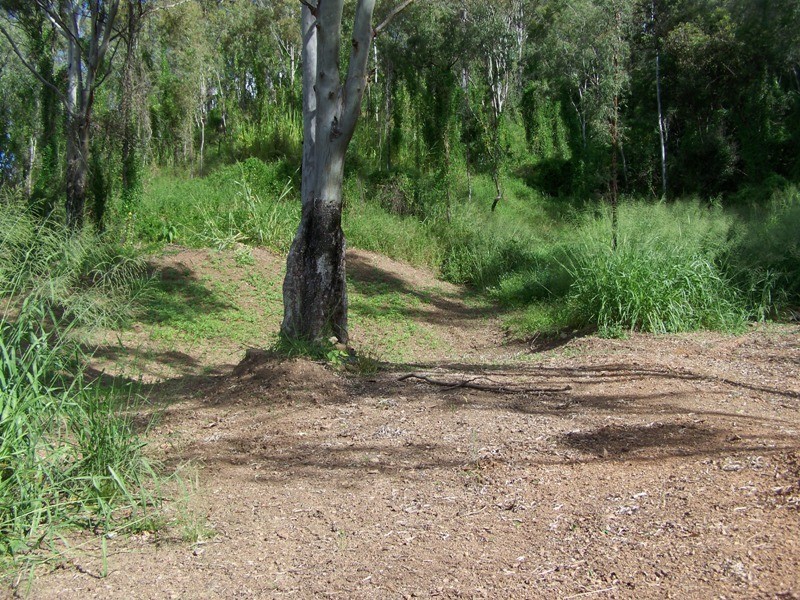 Imbil QLD 4570