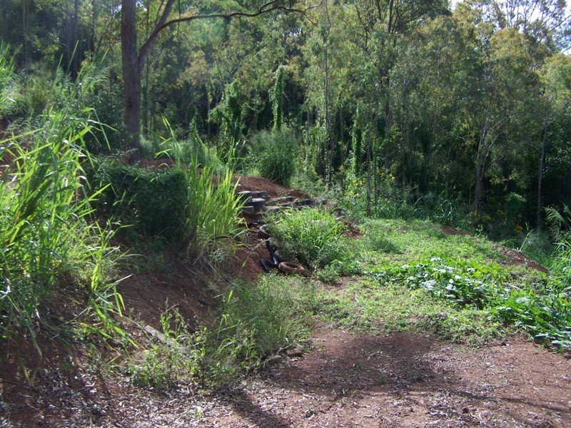 Imbil QLD 4570