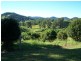 Kandanga QLD 4570