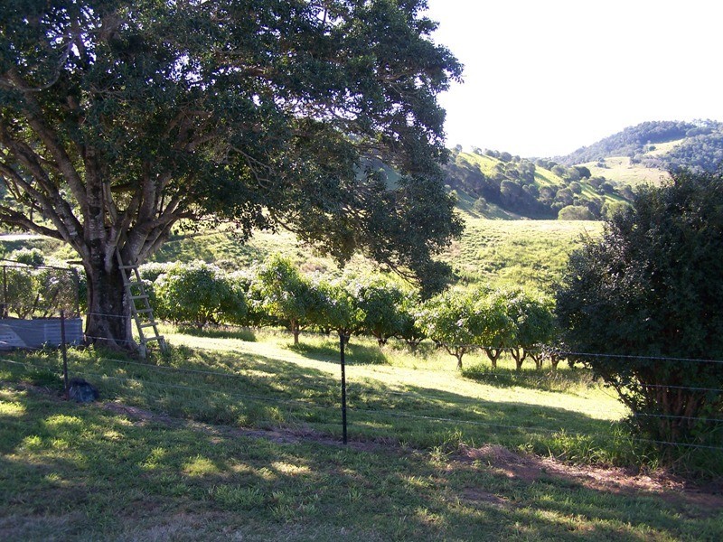 Kandanga QLD 4570