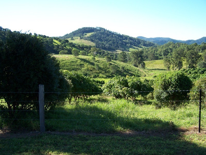 Kandanga QLD 4570