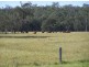 Goomboorian QLD 4570