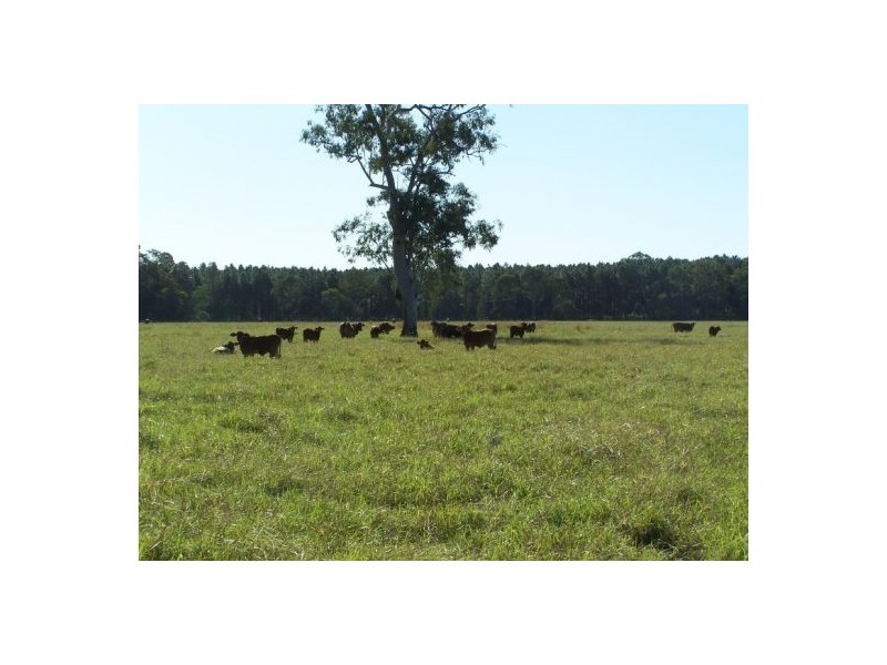 Goomboorian QLD 4570