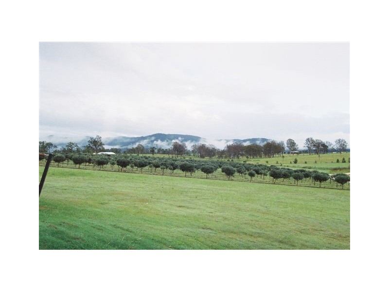 Lower Wonga QLD 4570