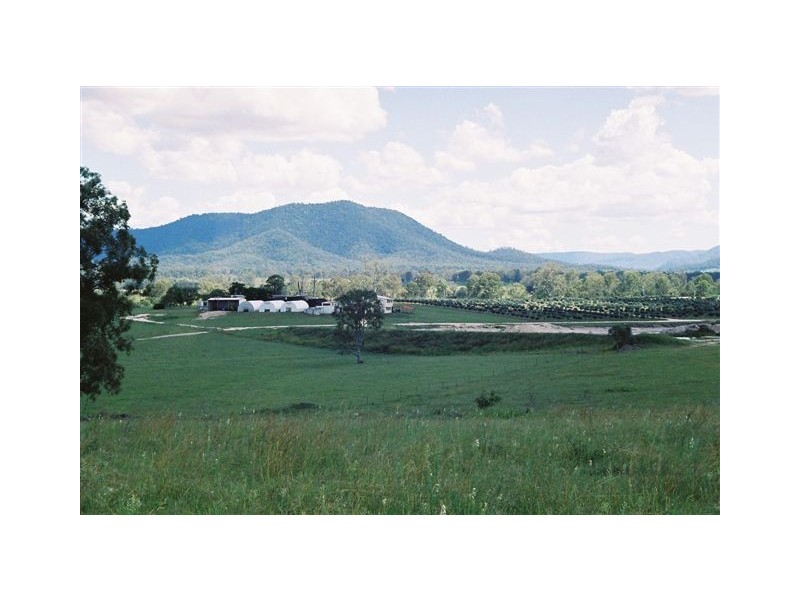 Lower Wonga QLD 4570
