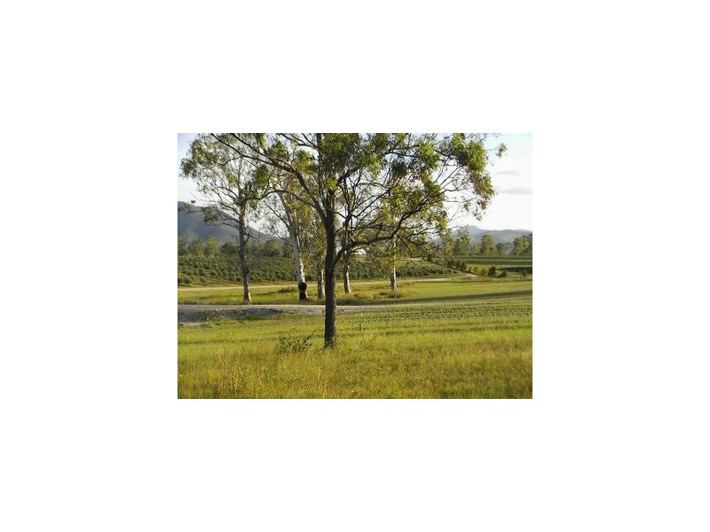Lower Wonga QLD 4570