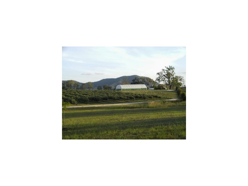 Lower Wonga QLD 4570