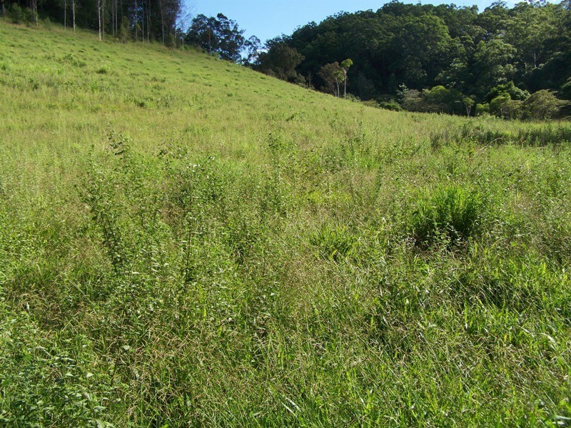 Beenaam Valley QLD 4570