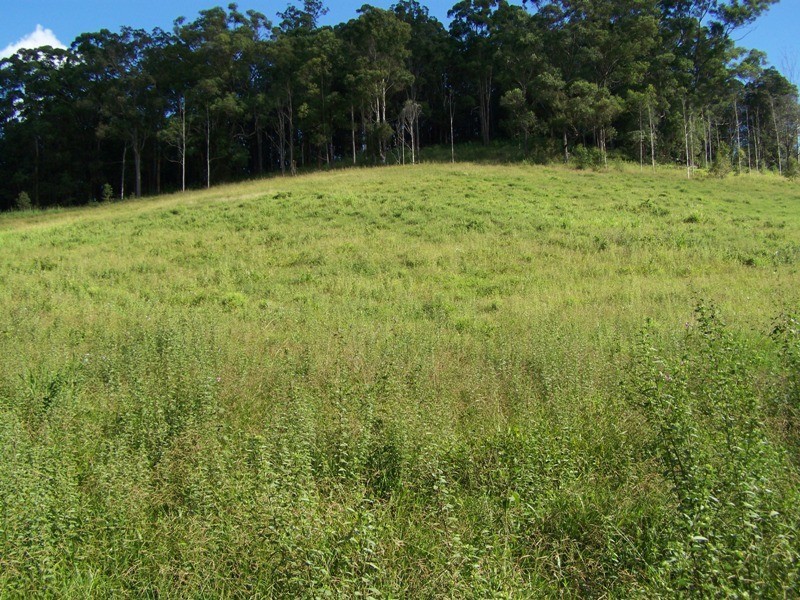 Beenaam Valley QLD 4570