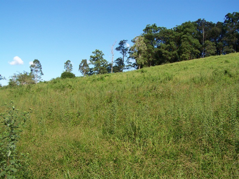 Beenaam Valley QLD 4570