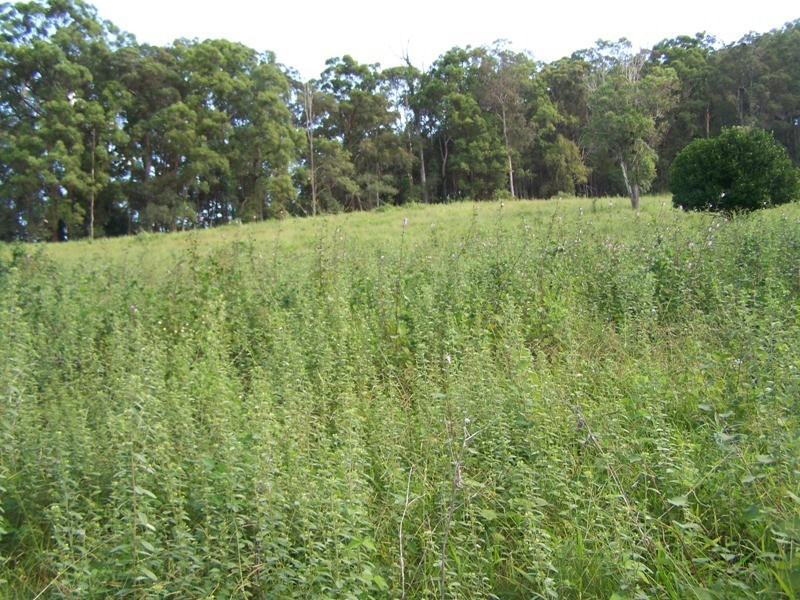 Beenaam Valley QLD 4570